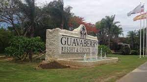 Guavavery (3)