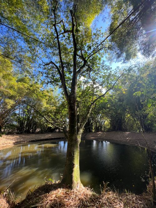 Eco de la Montaña (4)